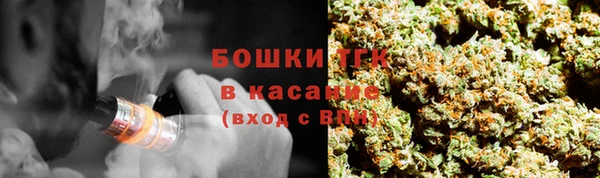 PSILOCYBIN Алзамай
