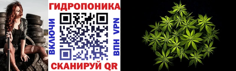 blacksprut ссылки где найти наркотики Шадринск Канабис SATIVA & INDICA